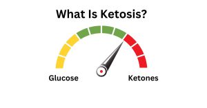 Read more about the article Intro to Ketosis: Benefits, Risks, and How to Achieve It